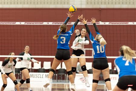 RSEQ - Volley Fém (D2) - UQAC (3) vs (1) UQO - Reel 1