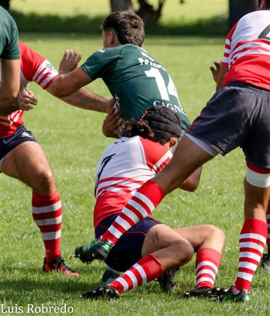 Los Cardos Rugby Club vs Areco Rugby Club