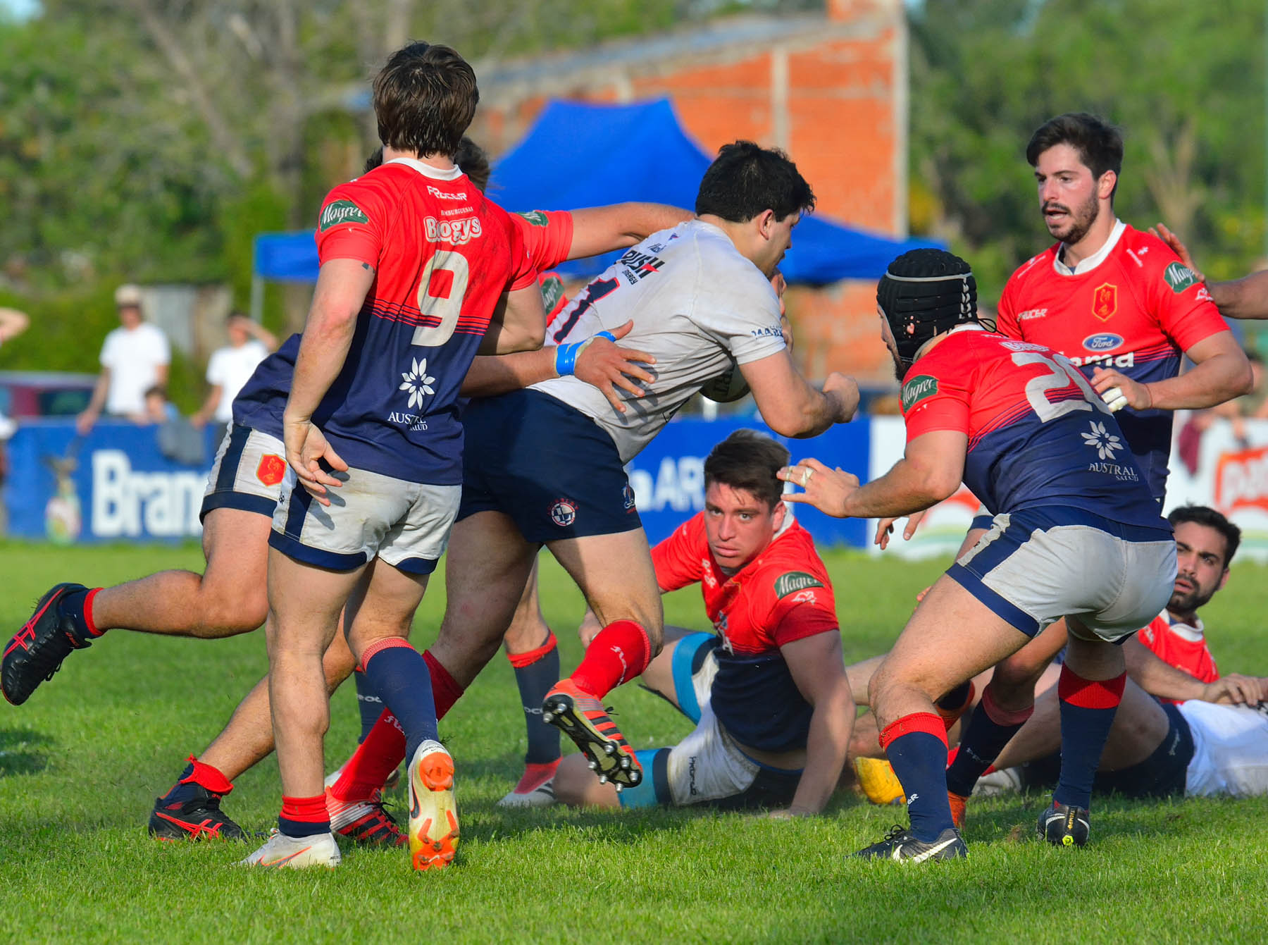  Pueyrredón Rugby Club - Asociación Deportiva Francesa - Rugby -  (#PueyVsDepoOct2018Prim) Photo by: Edy Rung | Siuxy Sports 2018-10-06