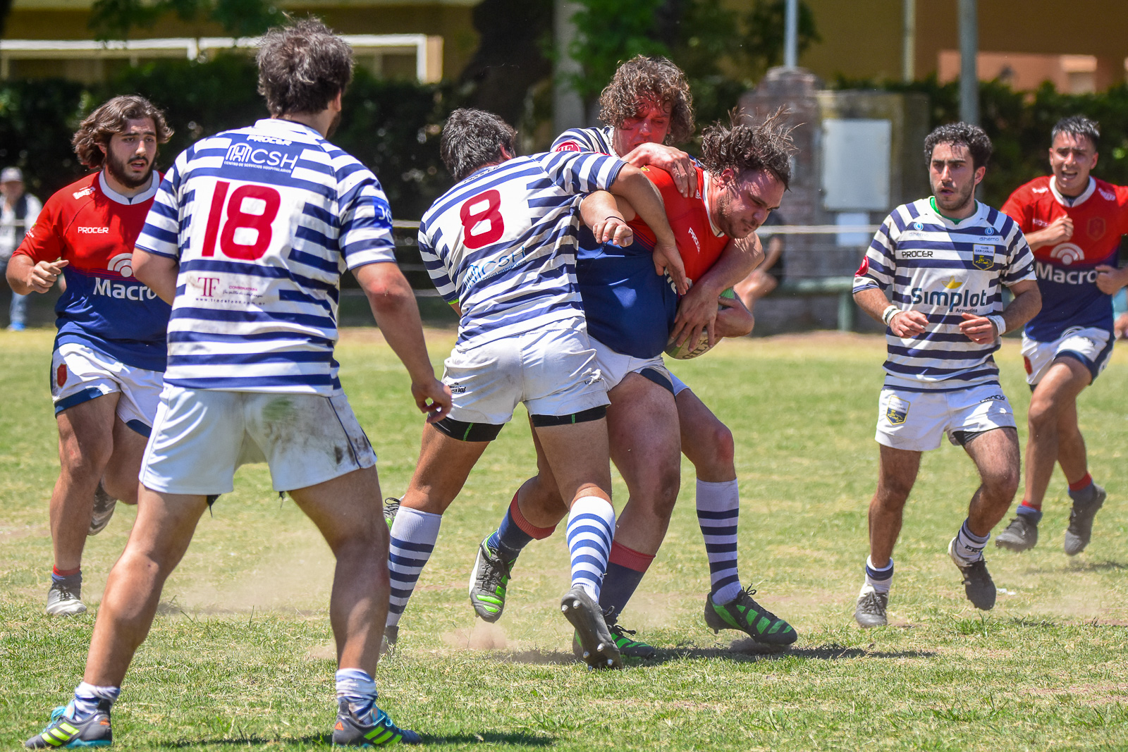  Club San Carlos - Asociación Deportiva Francesa - Rugby - URBA 1A - San Carlos vs Deportiva Francesa (#URBASanCarADF2022) Photo by: Ignacio Pousa | Siuxy Sports 2022-11-05