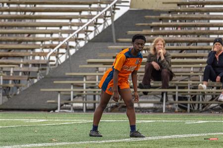 RSEQ - Rugby Fem - Dawson (12) vs (31) André Laurendeau - SemiF