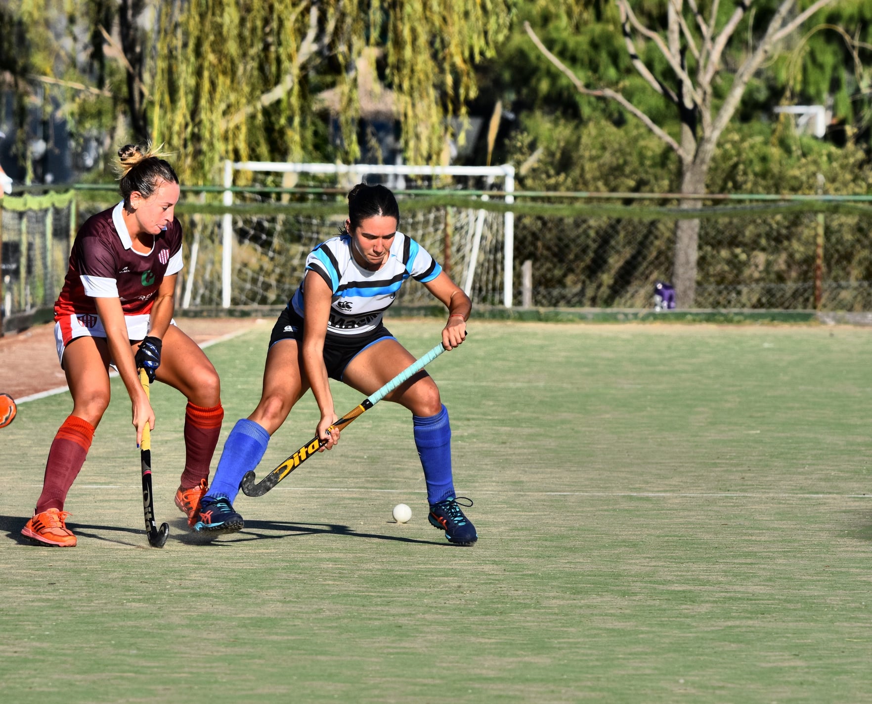  San Isidro Club - Club Atlético Banco de la Provincia de Buenos Aires - Field hockey - S.I.C. A vs Banco Provincia A -  Inter y 1ra - 2022 (#SICBPROV2022) Photo by: Edgardo Kleiman | Siuxy Sports 2022-04-09