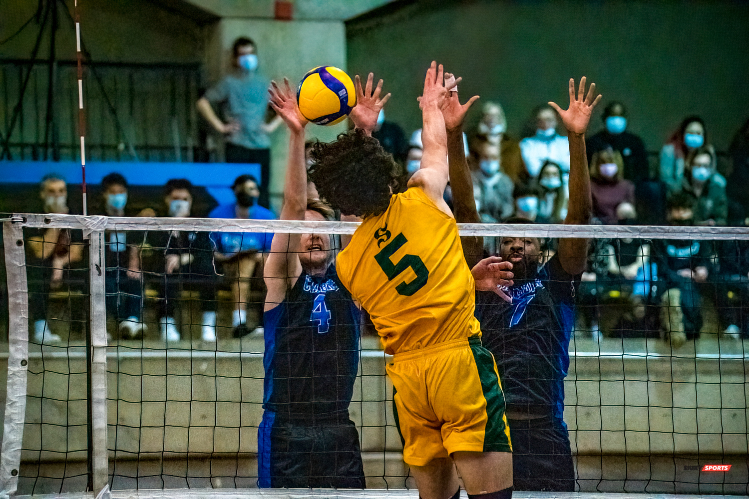 Simon BILODEAU - Philippe BORDENAVE - Zachary HOLLANDS -  Université de Montréal - Université de Sherbrooke - Volleyball - Université de Sherbrooke (3) vs Université de Montréal (1) - Final 1 2022 (#VertOrVsCarabinsFinal1M) Photo by:  | Siuxy Sports 2022-03-19