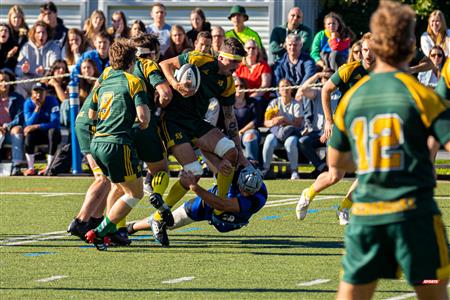 RSEQ RUGBY Masc - U. DE MONTRÉAL (50) vs (7) U. Sherbrooke - Reel A2