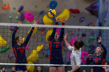 RSEQ - Volleyball C F D2 Sud-Ouest - Tournoi 4 - Sect F - André Laurendeau (2) vs (1) Marianopolis