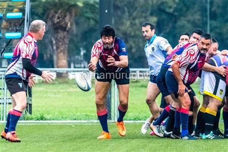 Torneo Día de La Bandera