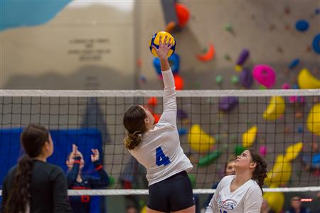 RSEQ - Volleyball C F D2 Sud-Ouest - Tournoi 4 - Sect F - André Laurendeau (2) vs (1) Marianopolis