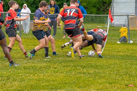 TMR vs BRFC - Reel SEQ - M2