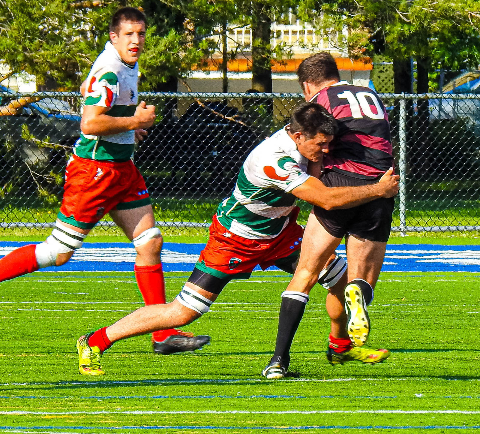  Rugby Club de Montréal - Westmount Rugby Club - Rugby -  (#RCMvsWRC2017) Photo by:  | Siuxy Sports 2017-08-12