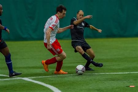 QSL - Dynamo Plateau vs White Eagles