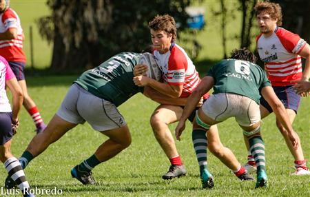 Los Cardos Rugby Club vs Areco Rugby Club