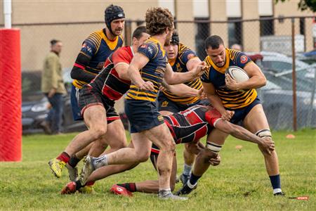 TMR (29) vs (0) BRFC - Reel A2 - M1