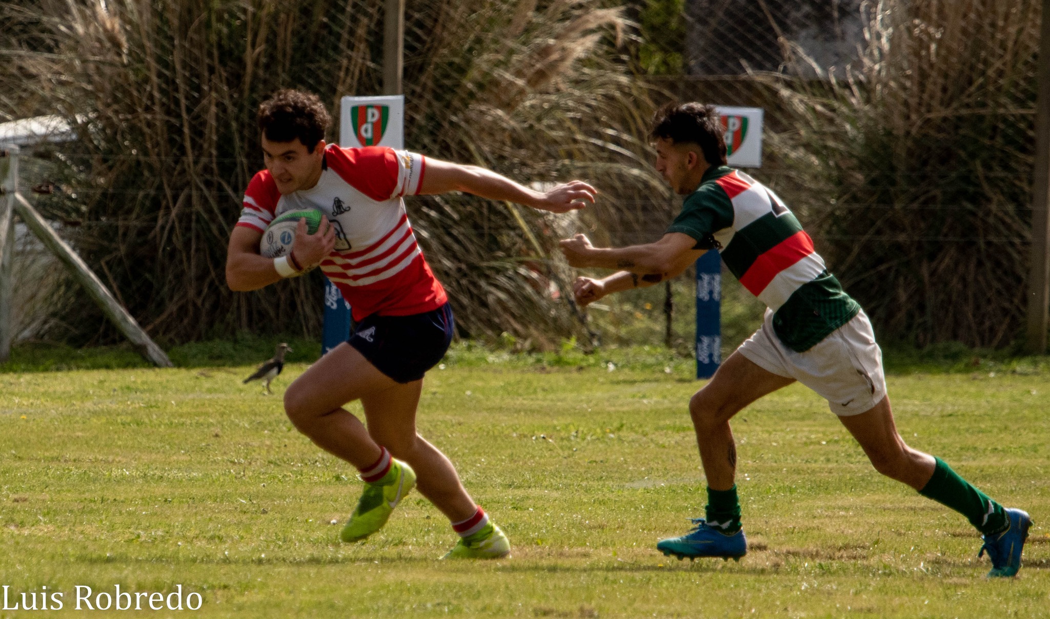  Areco Rugby Club - Atlético y Progreso Brandsen - Rugby - Areco Rugby vs Brandsen (#ArecoBrandsen2022R1) Photo by: Luis Robredo | Siuxy Sports 2022-08-27
