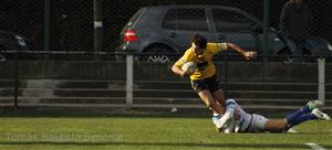 Alvaro Herrera - Rugby -  - La Plata Rugby Club - San Isidro Club