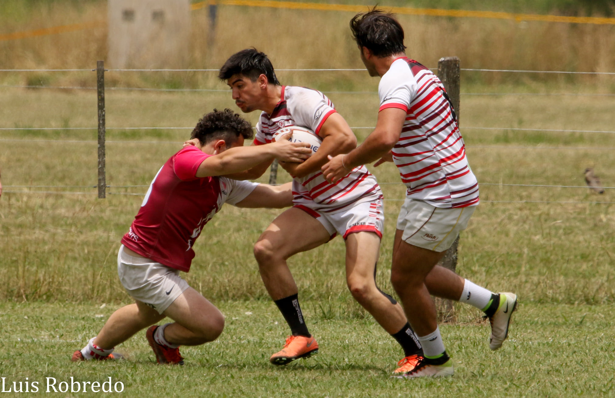   -  - Rugby - Seven de la Tradición 2021 - San Antonio de Areco (#SevenTradicion2021-XvsY-1) Photo by: Luis Robredo | Siuxy Sports 2021-12-05