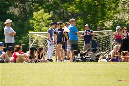 SABRFC vs. Beaconsfield RF -  Crowd