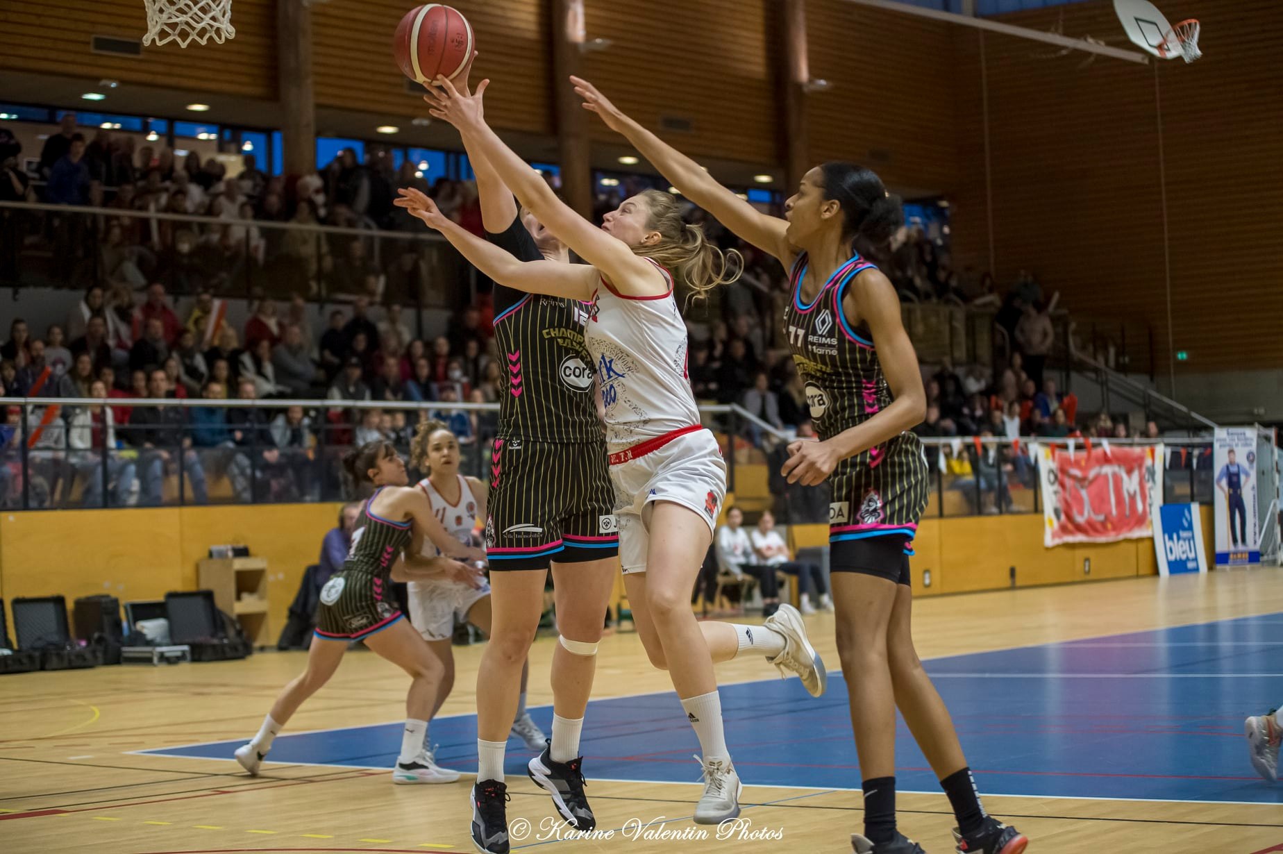  BC Tronche Meylan - Champagne Basket - Basketball - BCTM (73) vs (65) Reims - Basketball Fém. (#FFBB22BCTMREIMSa) Photo by: Karine Valentin | Siuxy Sports 2022-04-02