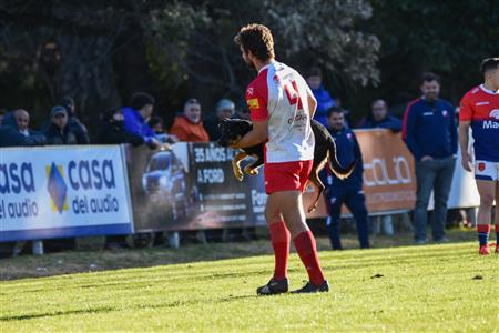 Mariano Moreno vs Deportiva Francesa - PriA URBA - Primera(33-20), Intermedia(25-19), Pré