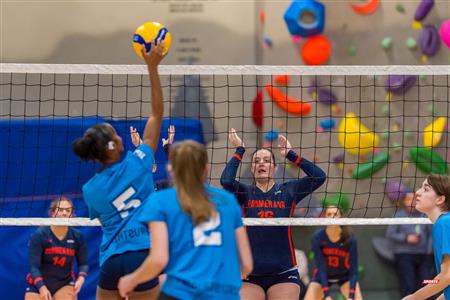 RSEQ - Volleyball C F D2 Sud-Ouest - Tournoi 4 - Sect F - André Laurendeau (2) vs (1) Gérald Godin