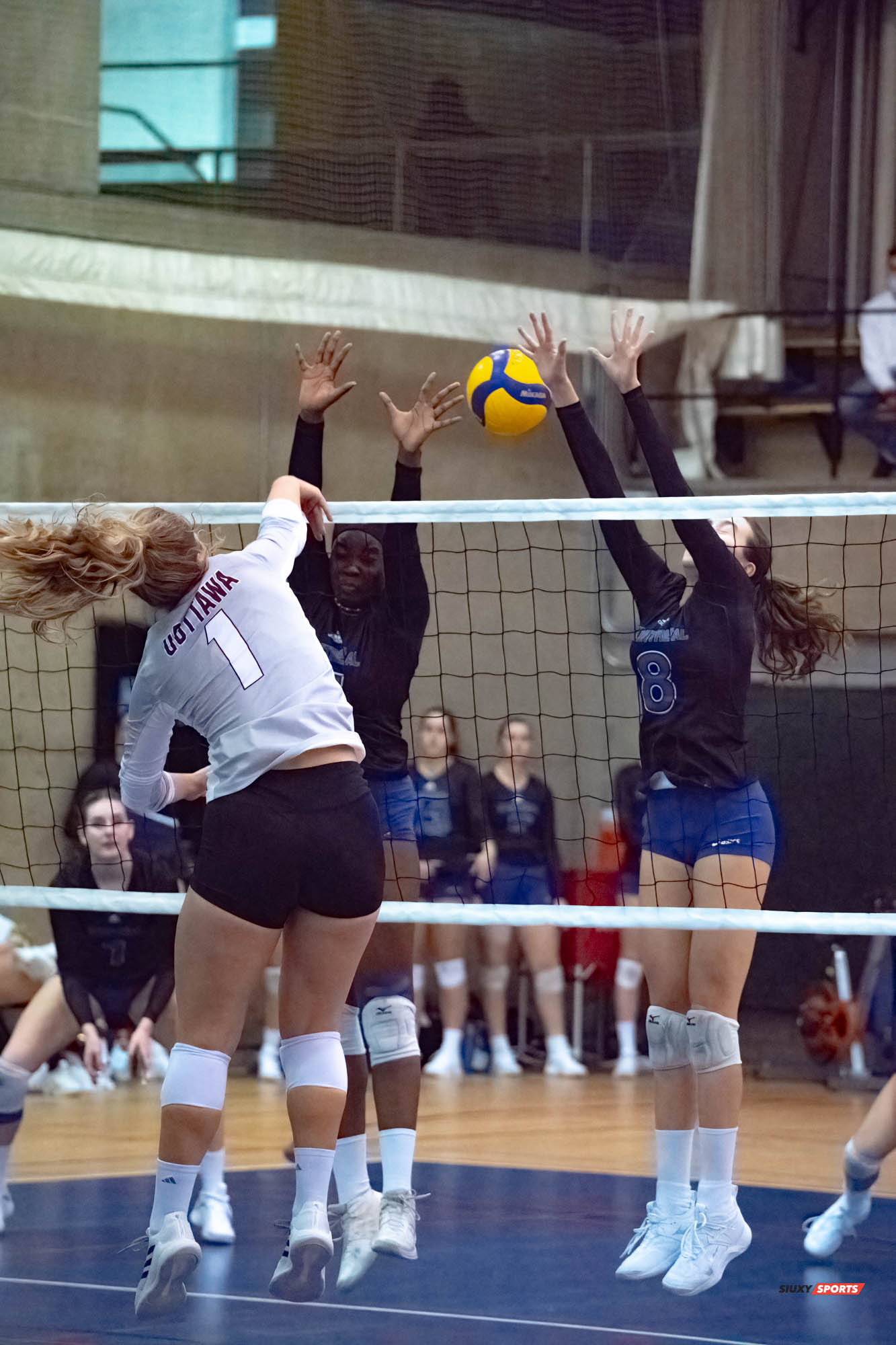 Florence CLOUTIER - Brynn LEWIS -  Université de Montréal - Université Ottawa - Volleyball -  (#VolleyUdeMvsUOttawaFW) Photo by:  | Siuxy Sports 2021-11-12