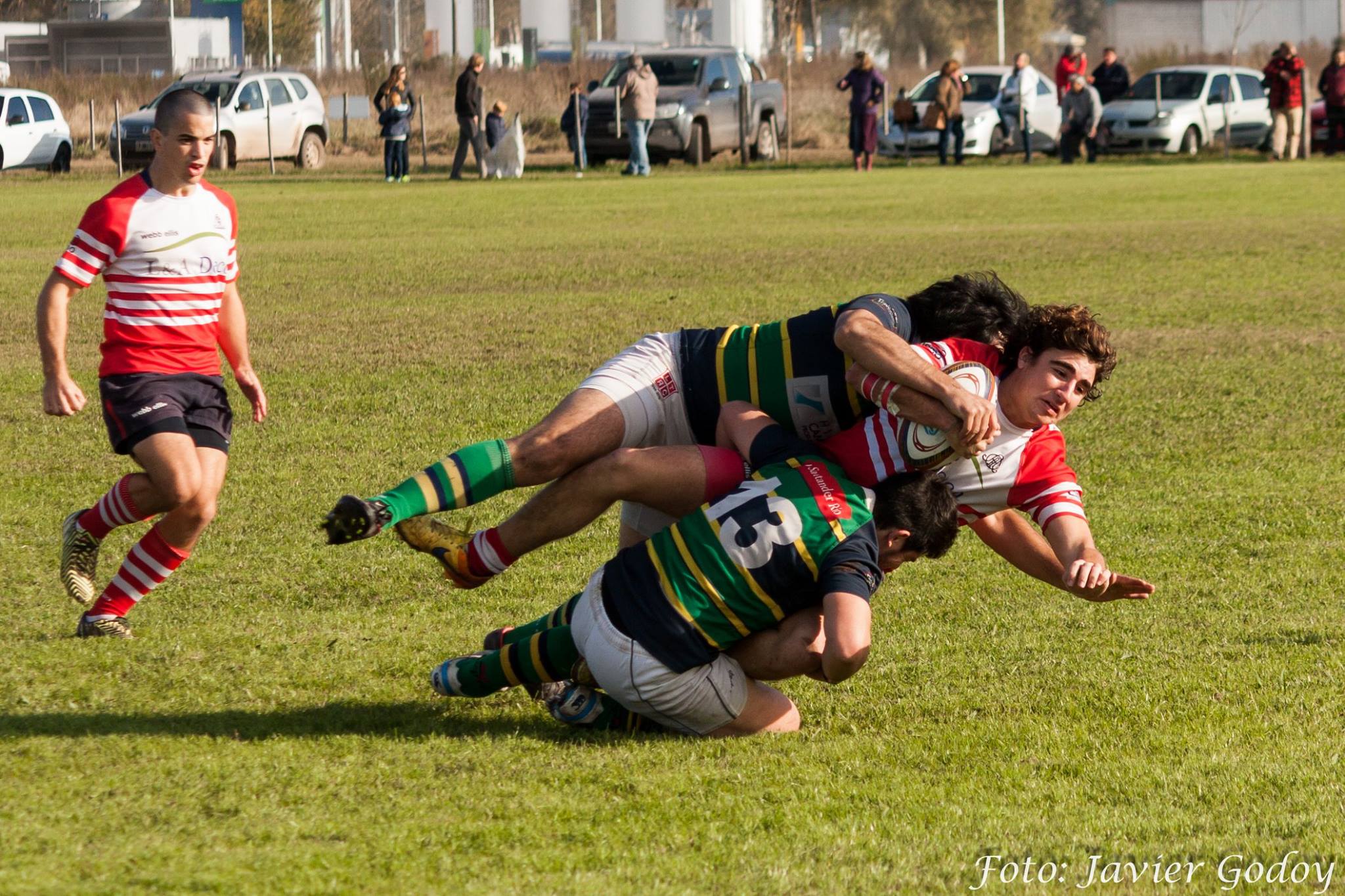  Areco Rugby Club -  - Rugby -  (#ArecoVsCampana2017) Photo by: Javier Godoy | Siuxy Sports 2017-06-04