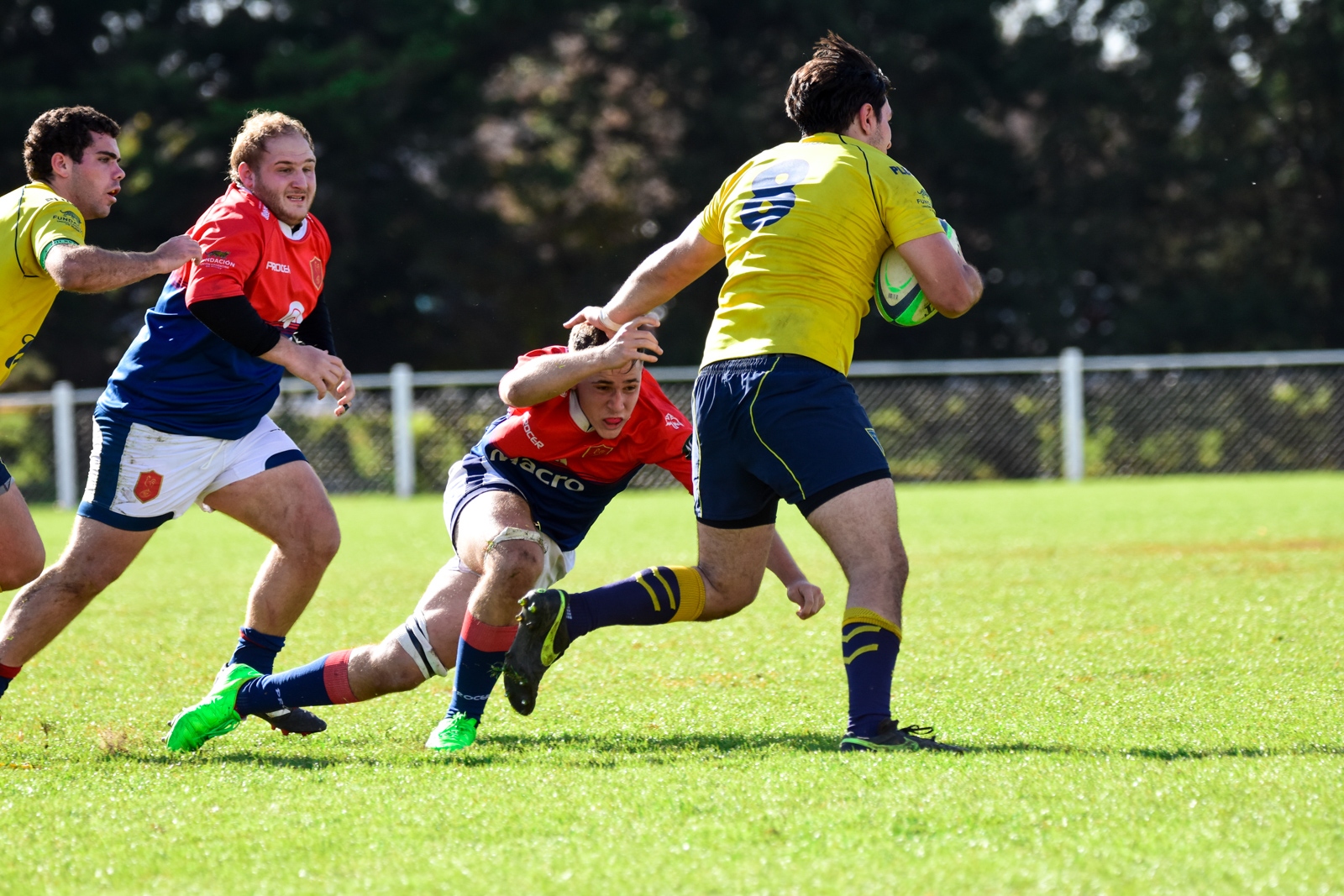  La Plata Rugby Club - Asociación Deportiva Francesa - Rugby - La Plata vs Deportiva Francesa - Primera, Inter, Prés - URBA 1raA (#LaPlataDepo2022URBA) Photo by: Ignacio Pousa | Siuxy Sports 2022-06-04