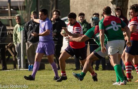 Areco Rugby vs Brandsen