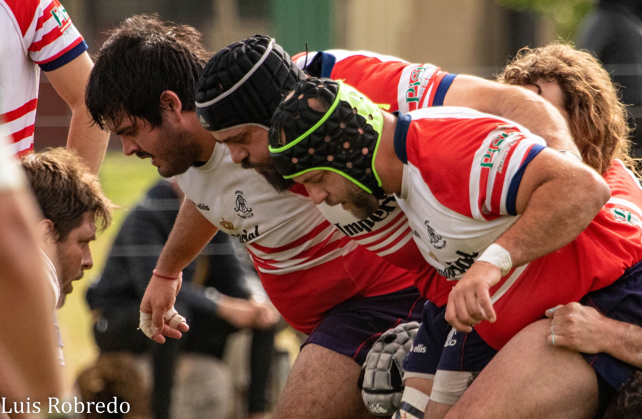  Areco Rugby Club - St. Brendan's Rugby Club - Rugby - Areco Rugby vs Brandans  (#ArecoBrendans2022) Photo by: Luis Robredo | Siuxy Sports 2022-10-15