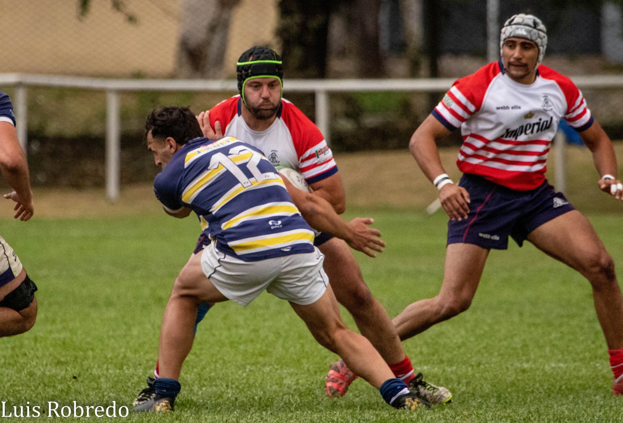  Areco Rugby Club - Círculo de ex Cadetes del Liceo Militar Gral San Martín - Rugby - URBA - Areco RC vs Liceo Militar (#URBAArecoLiceoM2022) Photo by: Luis Robredo | Siuxy Sports 2022-10-22