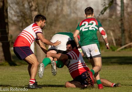 Areco Rugby vs Brandsen