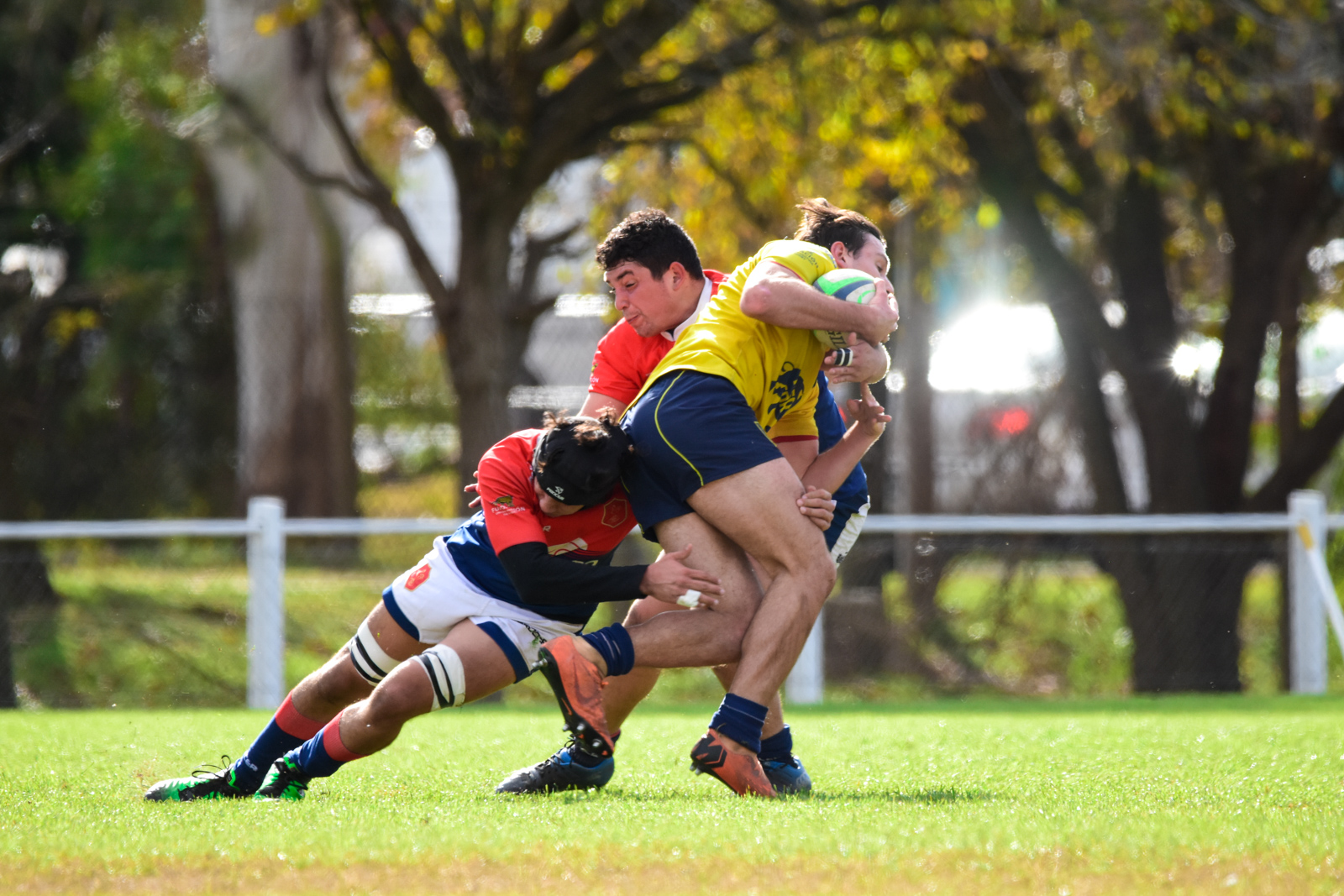  La Plata Rugby Club - Asociación Deportiva Francesa - Rugby - La Plata vs Deportiva Francesa - Primera, Inter, Prés - URBA 1raA (#LaPlataDepo2022URBA) Photo by: Ignacio Pousa | Siuxy Sports 2022-06-04