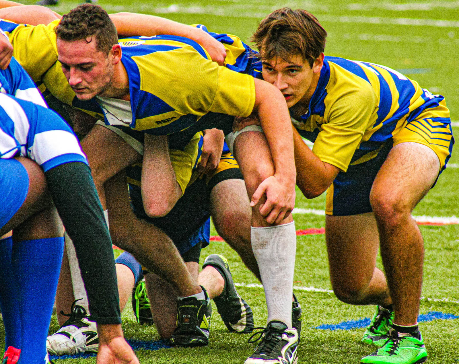  College John Abbott -  - Rugby -  (#AbbottVsDawsonM2021) Photo by:  | Siuxy Sports 2021-10-03