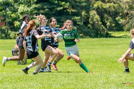 Wanderers (17) Vs (22) Irish - Provinciale 1 F