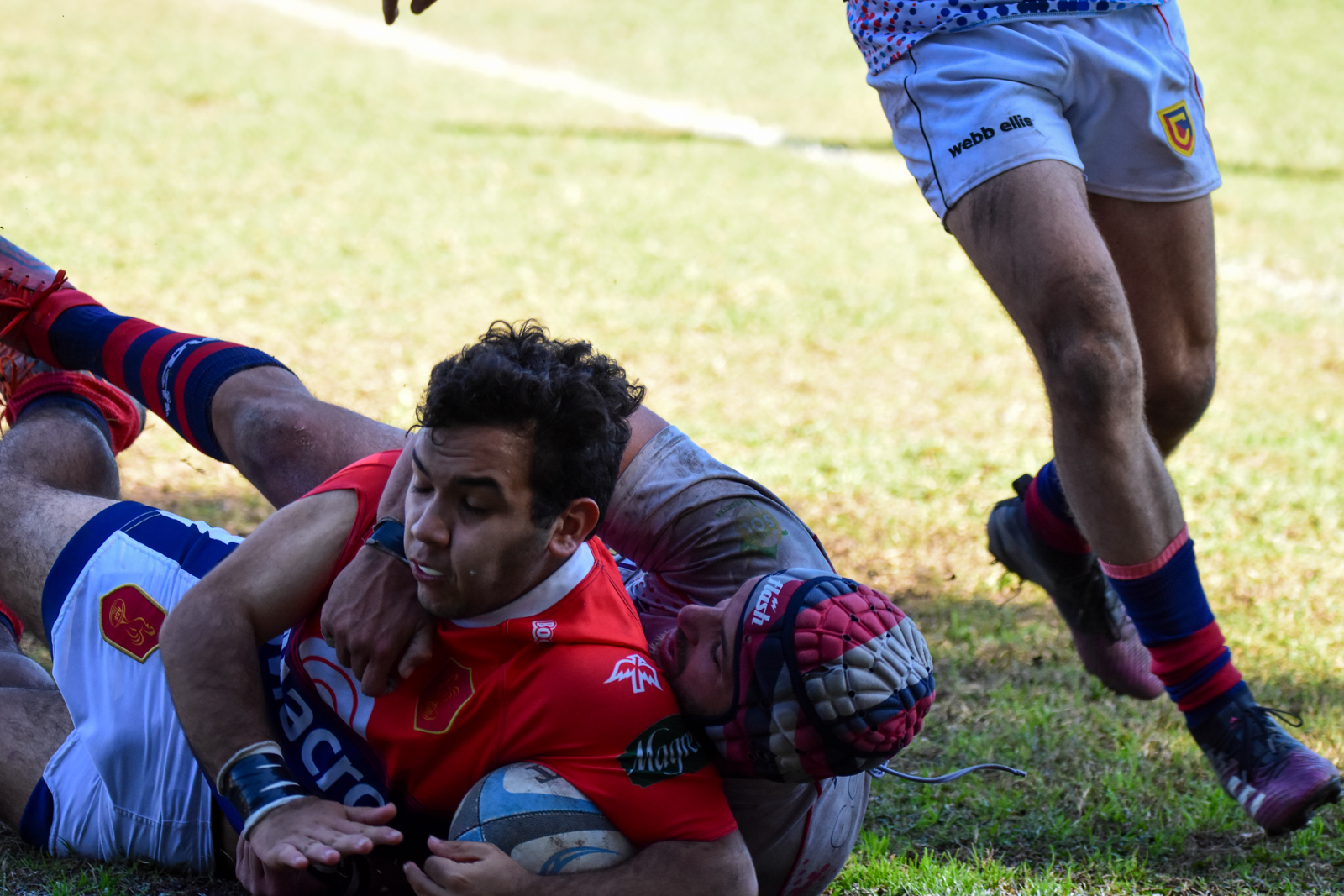  Curupaytí Club de Rugby - Asociación Deportiva Francesa - Rugby - Curupayti (19) vs (25) Deportiva Francesa - URBA - Primera A - F7 (#curupadepo2022) Photo by: Ignacio Pousa | Siuxy Sports 2022-05-14