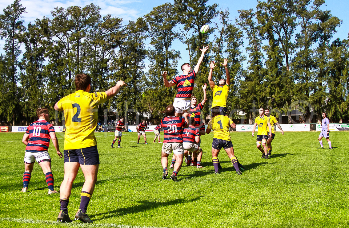  Curupaytí Club de Rugby - La Plata Rugby Club - Rugby - Curupayti (5) vs (50) La Plata - URBA Primera A - Fecha #18 (#URBA18CurupaLaPlata2022) Photo by: Alan Roy Bahamonde | Siuxy Sports 2022-08-27