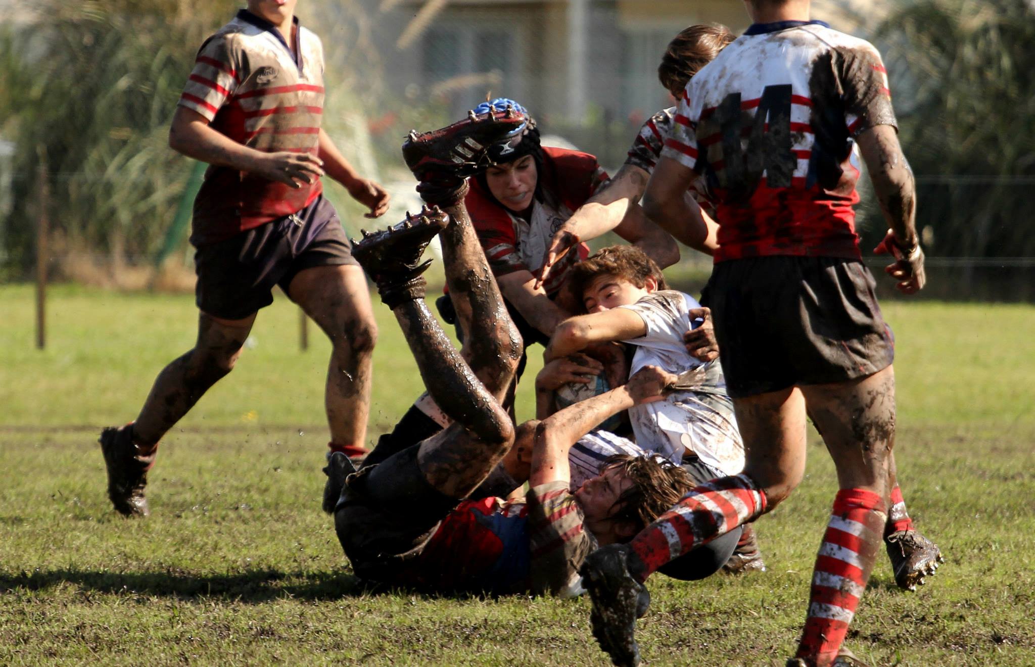  Club Champagnat - Areco Rugby Club - Rugby - Champagnat Vs Areco - M16 2014 (#CHAMPAvsARECO2014M16) Photo by: Luis Robredo | Siuxy Sports 2014-05-18