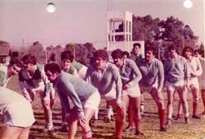 Sanpa esperando el line