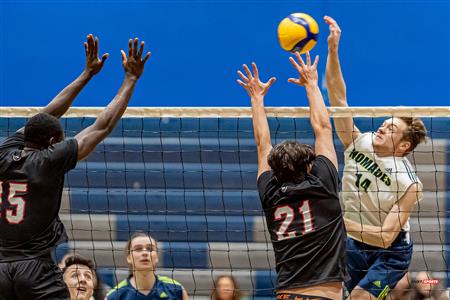 RSEQ - VOLLEYBALL C M D2 SUD-OUEST - TOURNOI 4 - SECTION A - NOMADES (1) VS (2) AIGLES