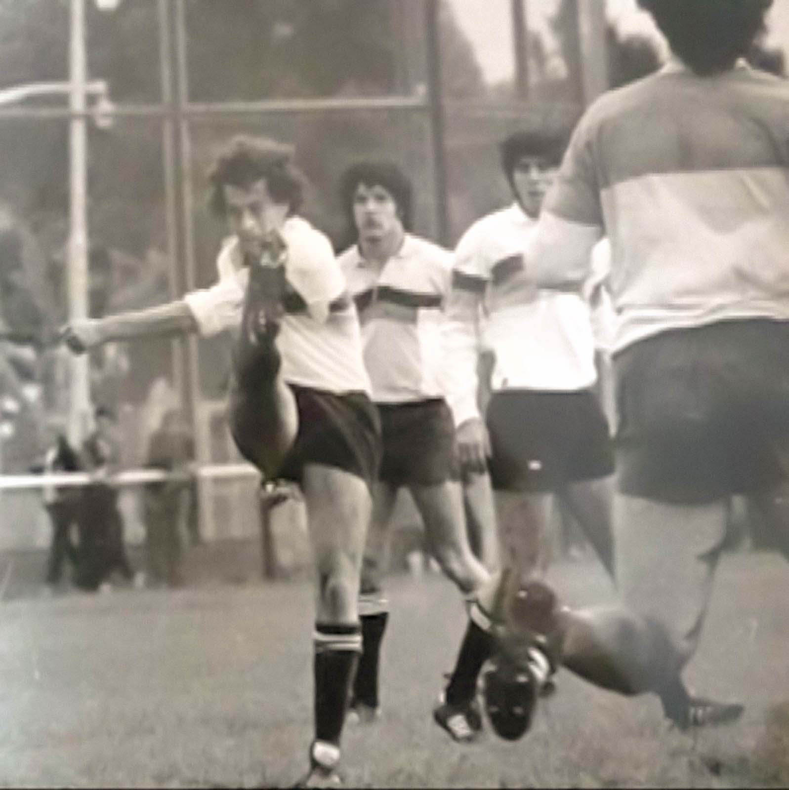 Martin JÁUREGUI - José MONTALDO - Eduardo WILKINSON -  Los Cedros - Sociedad Hebraica Argentina - Rugby - Joe Montaldo y su patada despejando el peligro en sus 25 (#AscensoCedros1983) Photo by:  | Siuxy Sports 1983-10-01