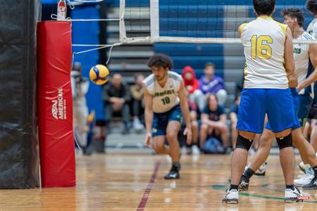 RSEQ - Volleyball C M D2 Sud-Ouest - Tournoi 4 - Section A - Nomades (2) vs (1) Islanders
