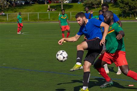 Lions du Cameroun Vs Top Boys FC - LIGAF One