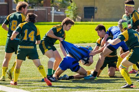 RSEQ RUGBY Masc - U. DE MONTRÉAL (50) vs (7) U. Sherbrooke - Reel A1
