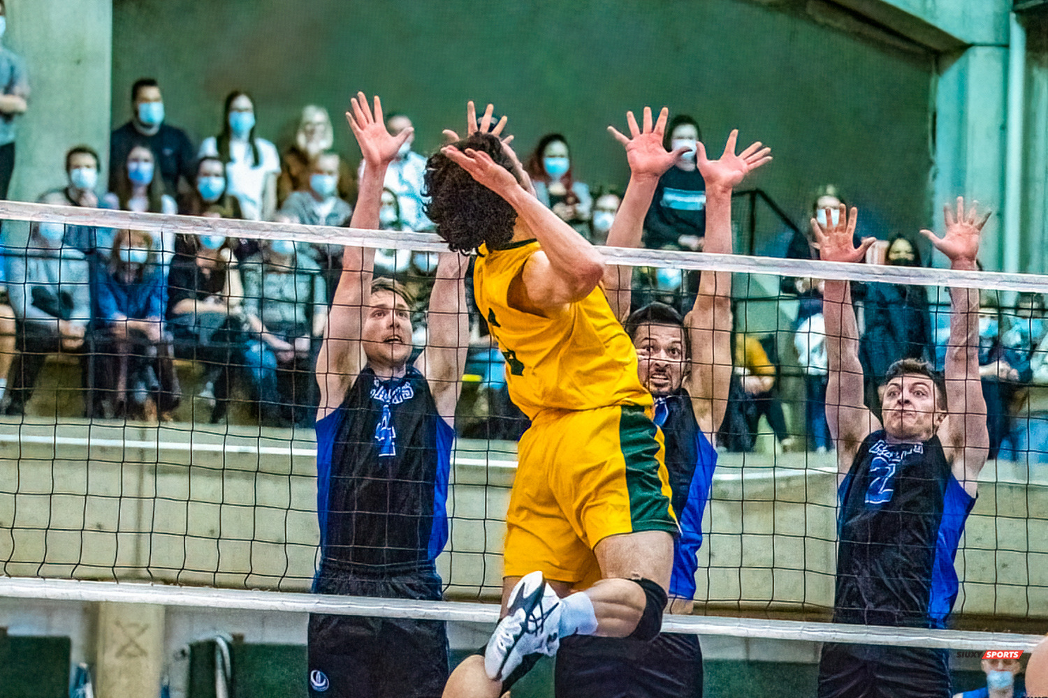 Simon BILODEAU - Julien BOILEAU - Zachary HOLLANDS - Nidhal RIDENE -  Université de Montréal - Université de Sherbrooke - Volleyball - Université de Sherbrooke (3) vs Université de Montréal (1) - Final 1 2022 (#VertOrVsCarabinsFinal1M) Photo by:  | Siuxy Sports 2022-03-19