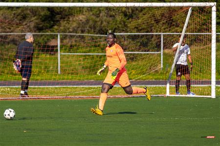 Lions du Cameroun Vs Top Boys FC - LIGAF One