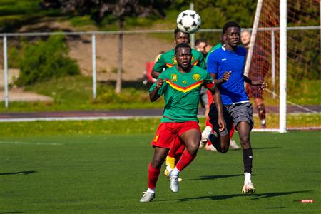Lions du Cameroun Vs Top Boys FC - LIGAF One