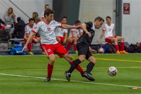 QSL - Dynamo Plateau vs White Eagles