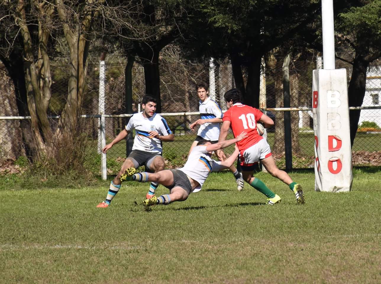  Los Cedros -  - Rugby - M17 en 2016 () Photo by:  | Siuxy Sports 2016-08-11