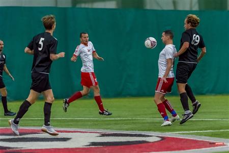 QSL - Dynamo Plateau vs White Eagles