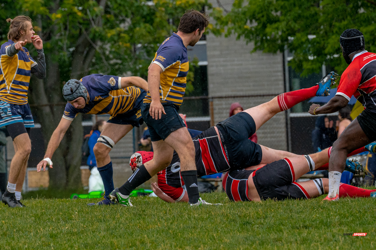 TMR (48) vs (0) BRFC - Reel A - M2 Town of Mount Royal RFC HUNGER, Karl - LADESSOV, Igor - Rugby 2022/Jun/18 #TMRBEACOm22022RA TMR (48) vs (0) BRFC - Reel A - M2 Town of Mount Royal RFC HUNGER, Karl - LADESSOV, Igor - Rugby 2022/Jun/18 #TMRBEACOm22022RA