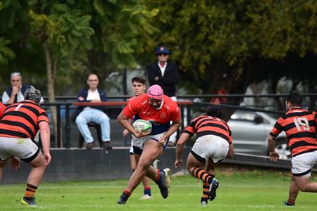 Deportiva Francesa vs Olivos Rugby Club - Inter & Pre - URBA
